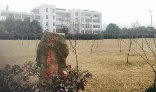 马鞍山师范高等专科